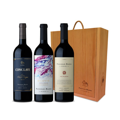 Estuche Gran Cabernet Sauvignon, Vía Flavia Petit Verdot y Diluvio Blend de Terroirs