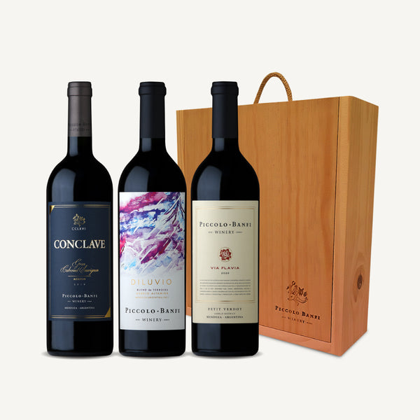 Estuche Gran Cabernet Sauvignon, Vía Flavia Petit Verdot y Diluvio Blend de Terroirs