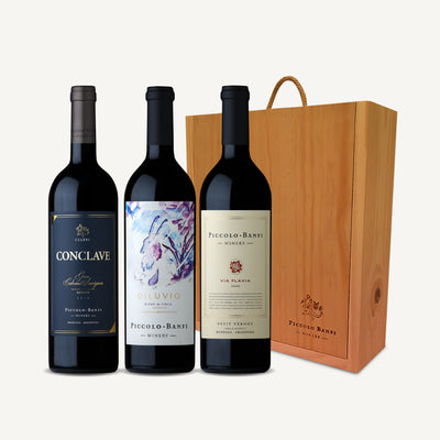 Estuche Gran Cabernet Sauvignon, Vía Flavia Petit Verdot y Diluvio Blend de Finca
