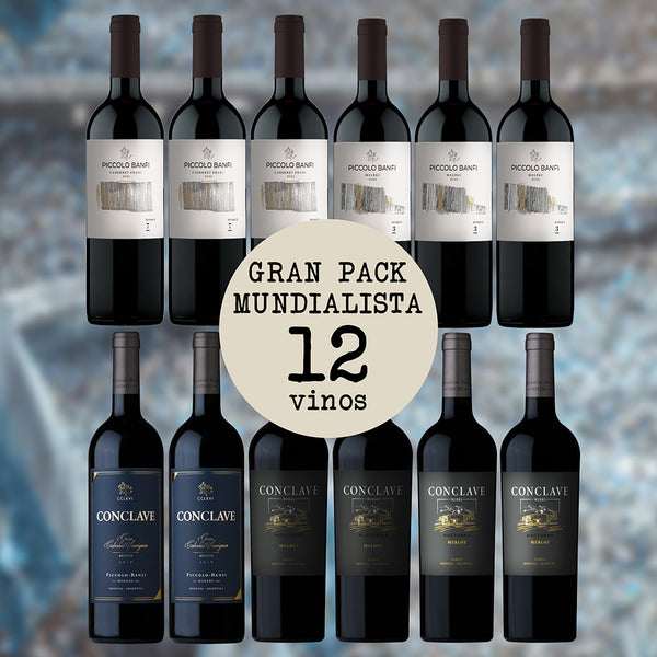 GRAN PACK MUNDIALISTA X 12